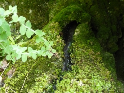 Fuente del Pozo de las Truchas - imagen 3