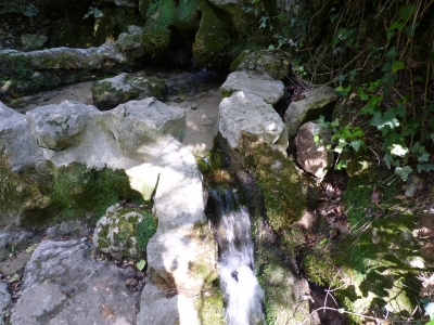Fuente de los Tilos - imagen 3