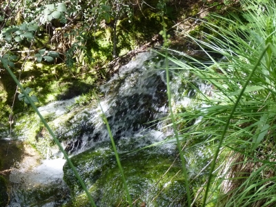 Fuente del Arroyo la Casilla - imagen 3