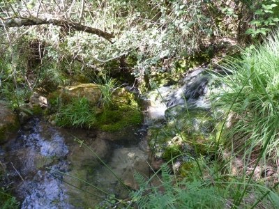 Fuente del Arroyo la Casilla - imagen 4