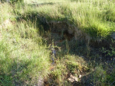 Fuente Mingoluño - imagen 1