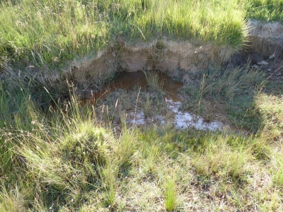 Fuente Mingoluño - imagen 2
