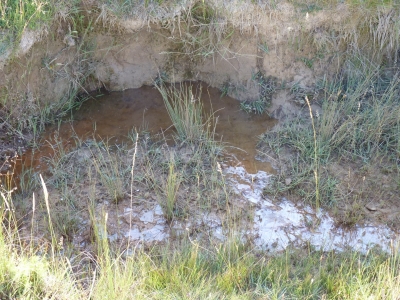 Fuente Mingoluño - imagen 3
