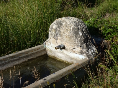 Fuente Pérez - imagen 3