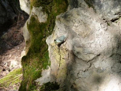 Fuente del Acebo - imagen 1