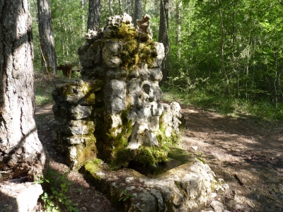 Fuente del Acebo - imagen 4