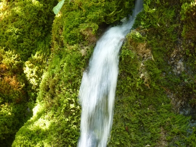 Sin nombre 11072020-7 - imagen 6