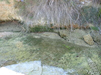 Los Hontanares II - imagen 4