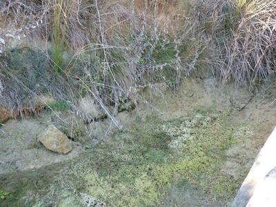 Los Hontanares II - imagen 5