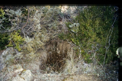 El Borbotón - imagen 1