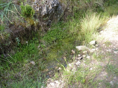 Fuente los Enebrales - imagen 2