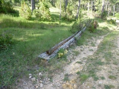 Fuente Entrecerrillos - imagen 1