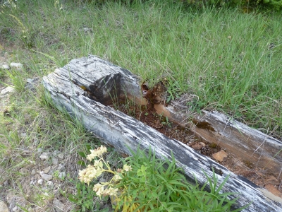 Fuente Entrecerrillos - imagen 3