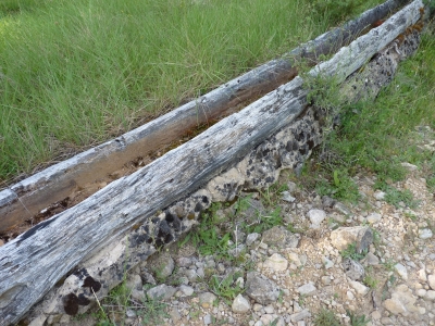 Fuente Entrecerrillos - imagen 5