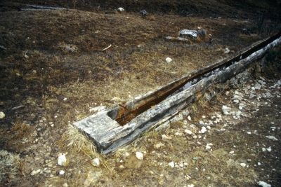 Fuente Entrecerrillos - imagen 7