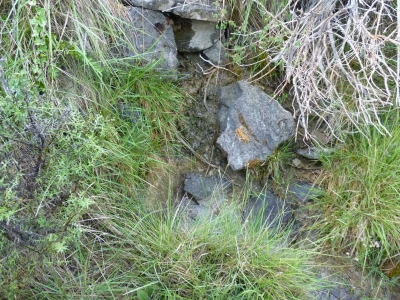 Fuente de la Huelga del Tío Juan Francisco - imagen 2