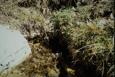 Fuente de la Huelga del Tío Juan Francisco - imagen 5