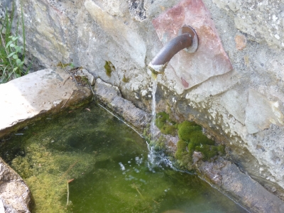 Fuente Merendero Cerrillo Primero - imagen 4