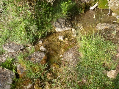 Fuente Mingarra - imagen 6
