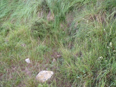 Fuente del Pedazo de Antonio - imagen 2