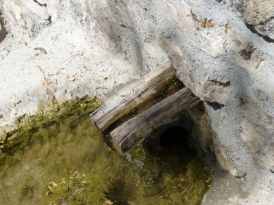 Fuente el Piojo - imagen 4