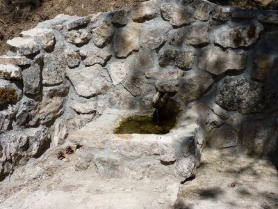 Fuente el Piojo - imagen 5