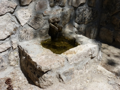 Fuente el Piojo - imagen 6