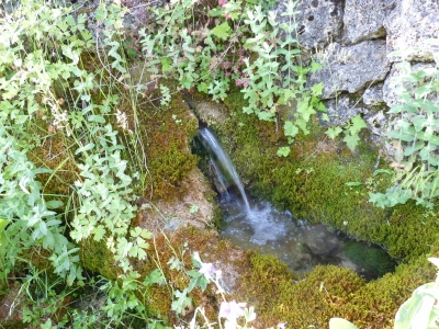 Fuente la Toba - imagen 4