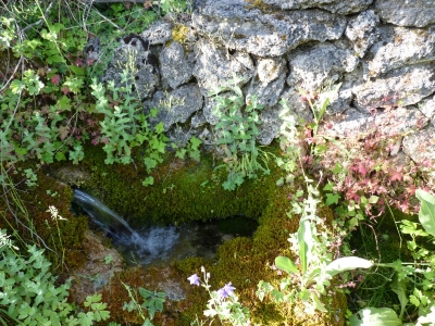 Fuente la Toba - imagen 5