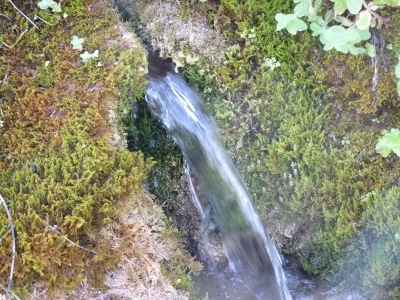 Fuente la Toba - imagen 6