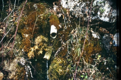 Fuente la Toba - imagen 7
