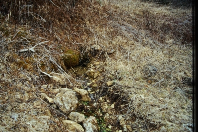 Fuente la Toba - imagen 8