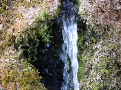 Fuente la Toba - imagen 10
