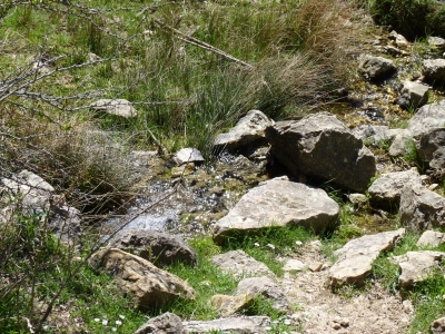 Fuente de Cañada Durón - imagen 2