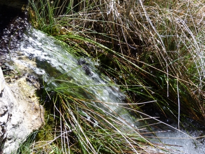 Fuente de Cañada Durón - imagen 4