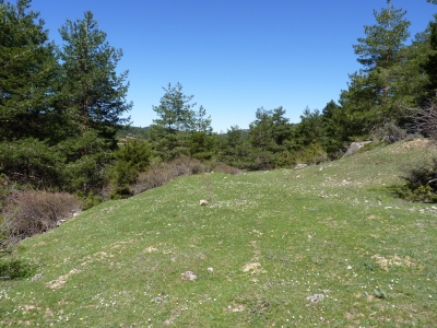 Fuente de Cañada Durón - imagen 7