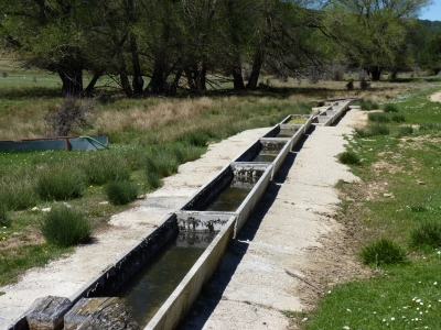 Fuente el Cubillo - imagen 8