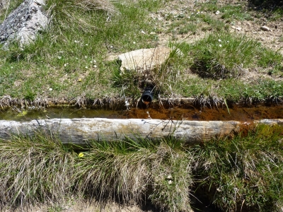 Fuente los Gamellones de la Cuesta de la Cañada - imagen 1