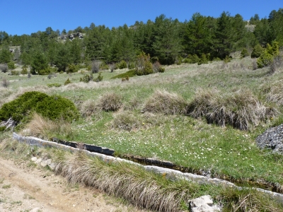 Fuente los Gamellones de la Cuesta de la Cañada - imagen 4