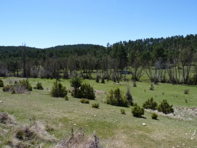 Fuente los Gamellones de la Cuesta de la Cañada - imagen 7