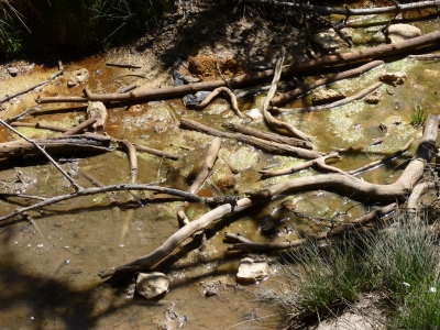 Fuente los Hontarrones - imagen 3