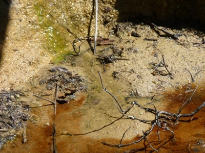 Fuente los Hontarrones - imagen 5