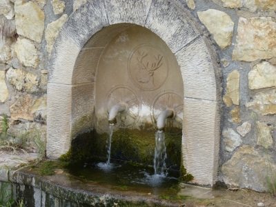 La Hontecilla - imagen 3