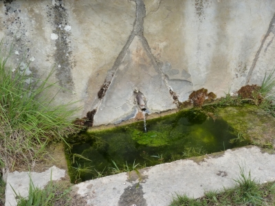 Las Hontecillas - imagen 4