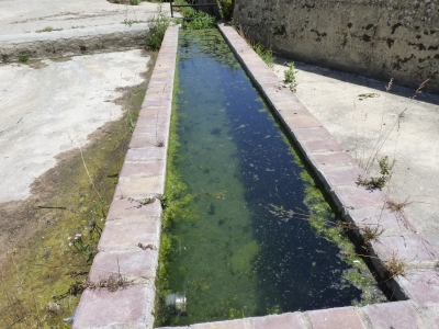 Fuente de los Huertos - imagen 3