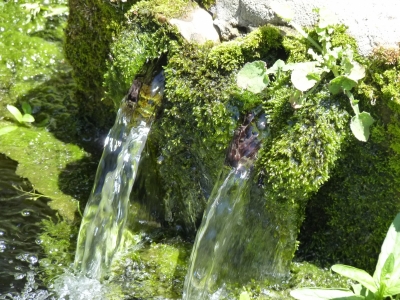Fuente de los Huertos - imagen 7