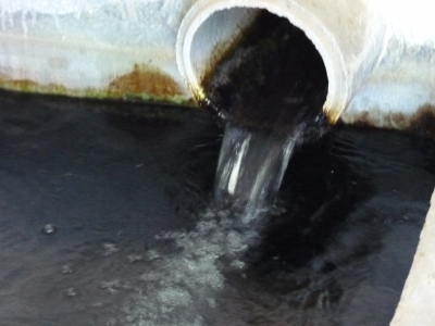 Fuente Juan Fría - imagen 3