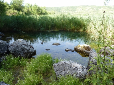 Nacimientos de la Laguna de El Tobar - imagen 1