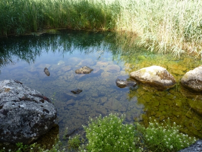 Nacimientos de la Laguna de El Tobar - imagen 2