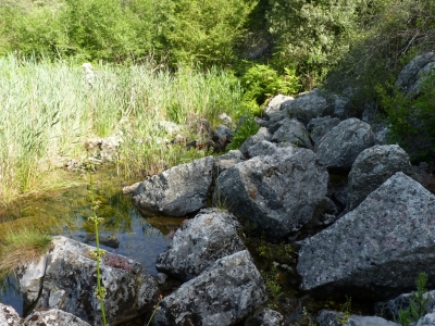 Nacimientos de la Laguna de El Tobar - imagen 3
